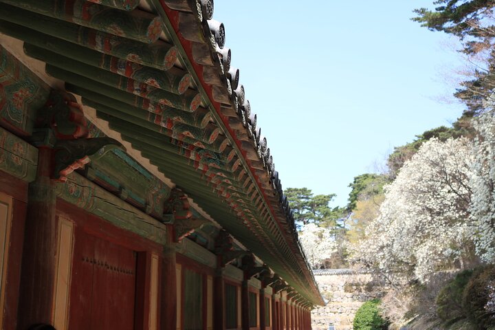 Gyeongju the UNESCO Sites Tour for Small Group - Image 4