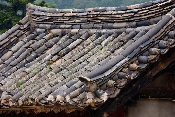Junam Wetlands and Haeinsa Temple Tour - Image 2