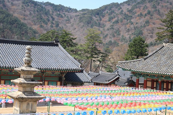 Junam Wetlands and Haeinsa Temple Tour - Image 4