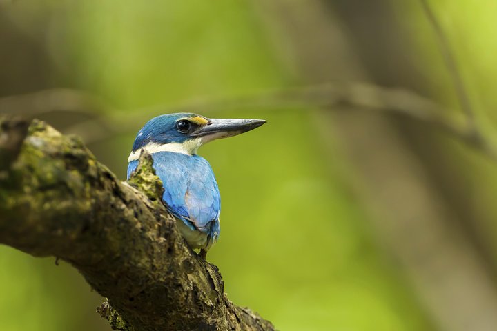 Junam Wetlands and Haeinsa Temple Tour - Image 1