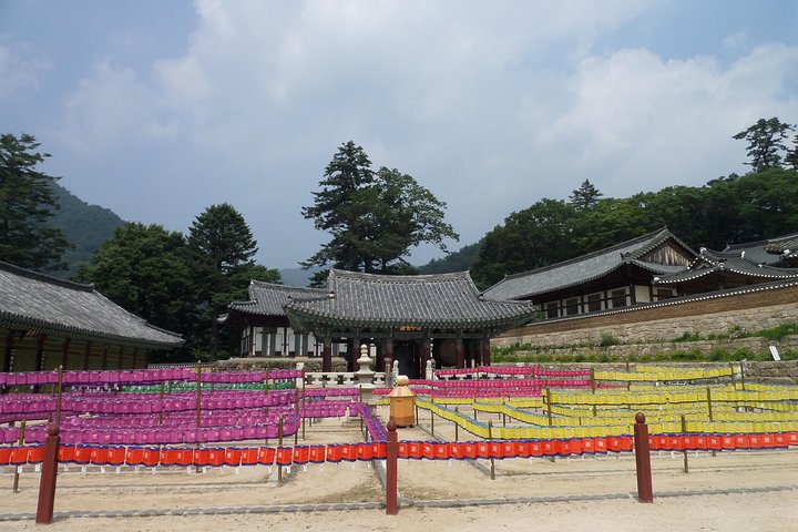 Junam Wetlands and Haeinsa Temple Tour - Image 5