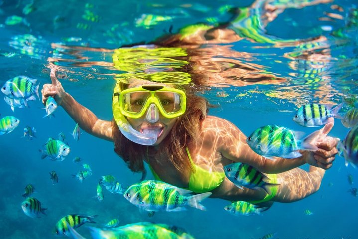 #1 Snorkeling Tour in Catamaran. Open bar & Snacks included - Image 1