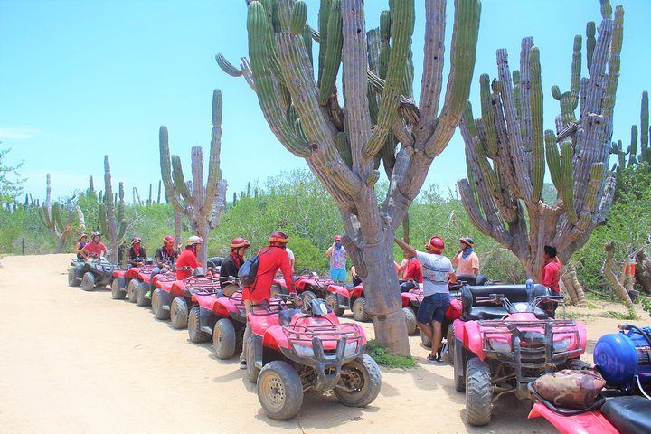 ATV Desert & Beach ride over the mountains and through Migrino beach!  - Image 1