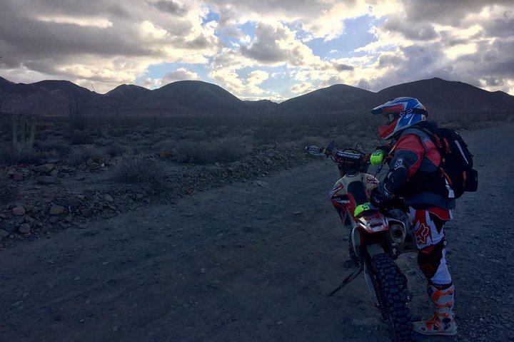 Baja Off-Road Adventure on Off-Road Motorcycle or Buggy - Image 4