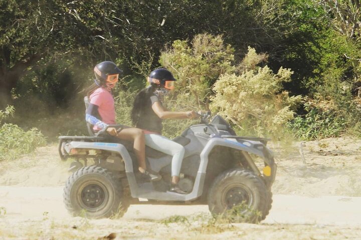 Baja's Best ATV Desert and Beach Tour - Image 4