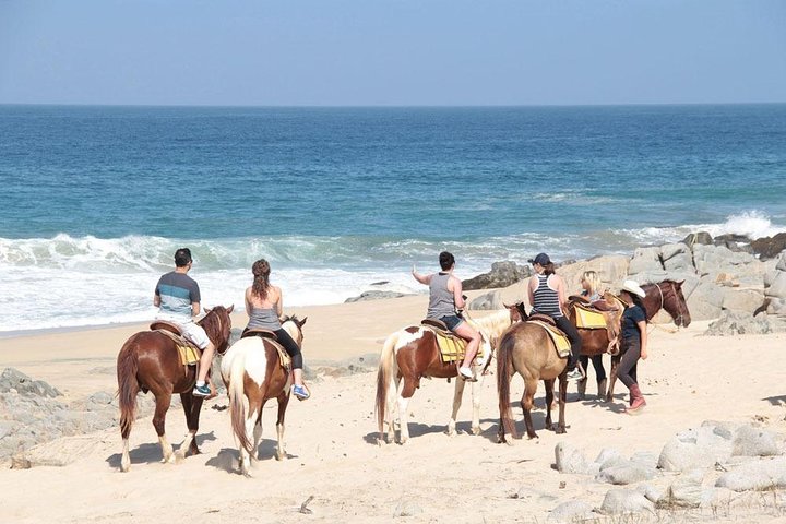 Beach & Desert Horseback Tour - Image 1