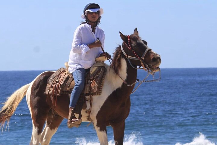 Beach & Desert Horseback Tour - Image 3