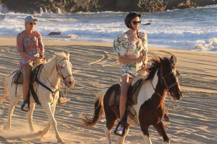 Beach & Desert Horseback Tour - Image 5