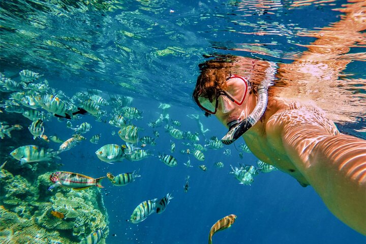 Boat Tour and Snorkel at Pelican Rock - Image 2