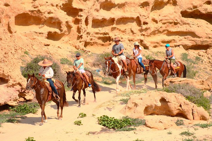Cabo Desert ATV & Beach Horseback Combo enjoy adventure and beauty!  - Image 3