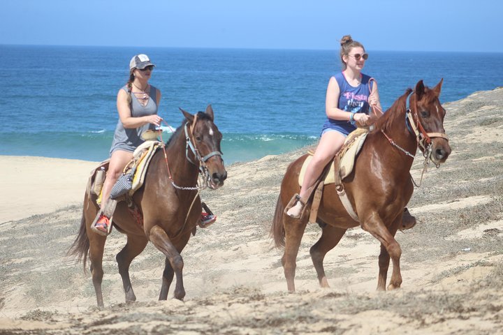 Cabo white sand horseback adventure and Tequila Tasting  - Image 2