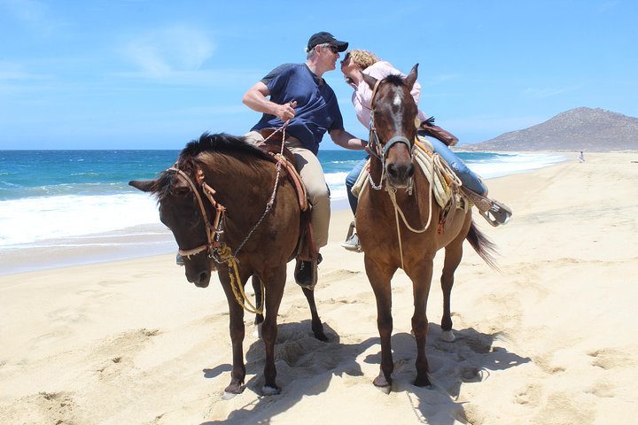 Cabo white sand horseback adventure and Tequila Tasting  - Image 4