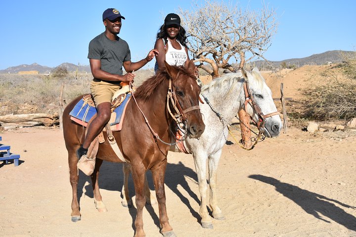 Cabo white sand horseback adventure and Tequila Tasting  - Image 3