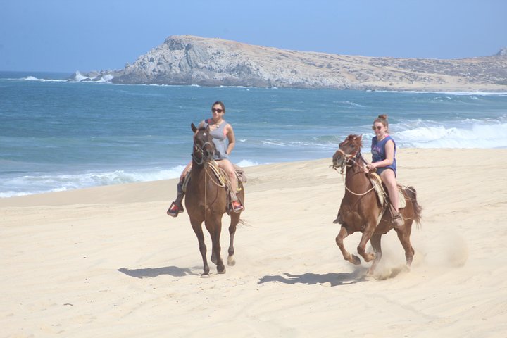 Cabo white sand horseback adventure and Tequila Tasting  - Image 1