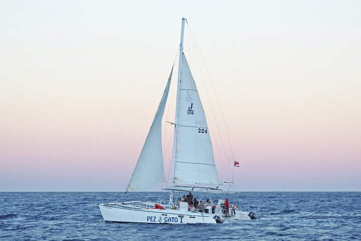 Cabo's Premier Catamaran Snorkeling Cruise - Image 5