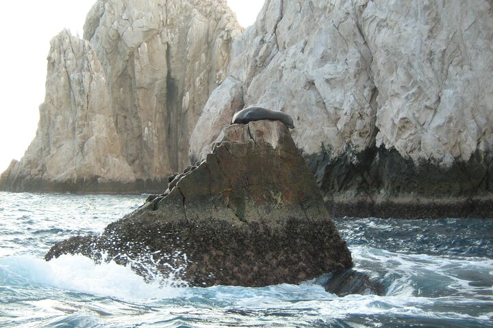 Cabo's Premier Catamaran Snorkeling Cruise - Image 2