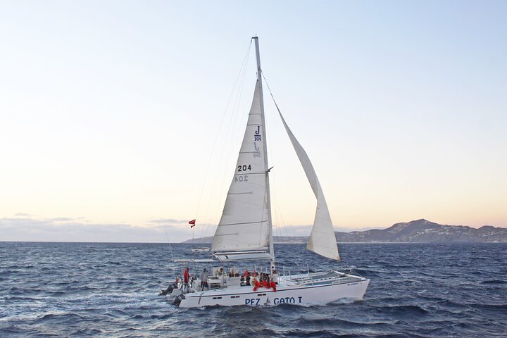 Cabo's Premier Catamaran Snorkeling Cruise - Image 4