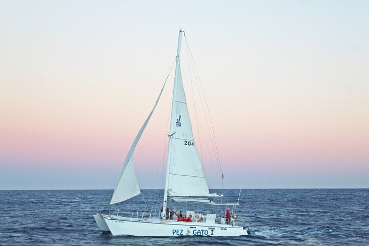 Cabo's Premier Catamaran Snorkeling Cruise - Image 3