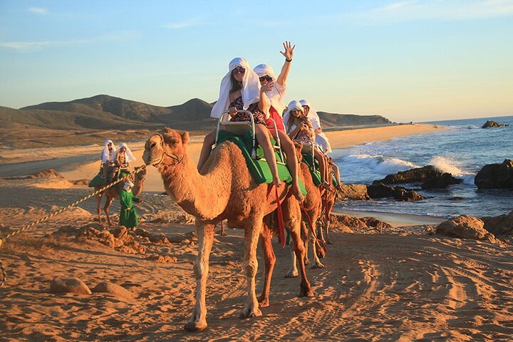 Camel Ride On The Beach at Cabo - Image 3