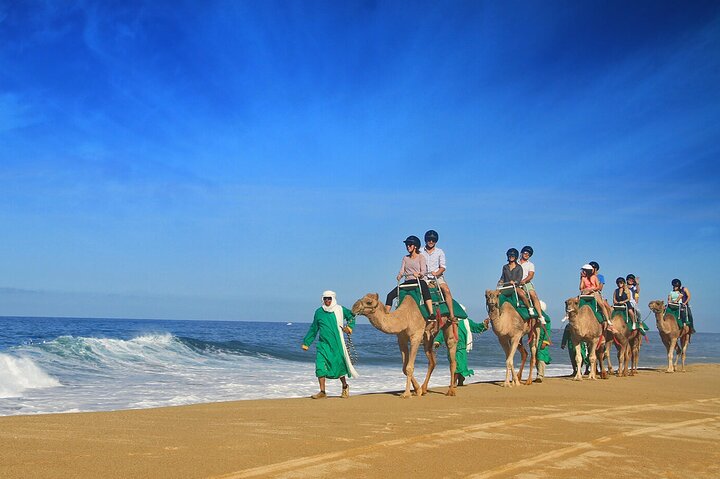 Camel Ride On The Beach at Cabo - Image 5