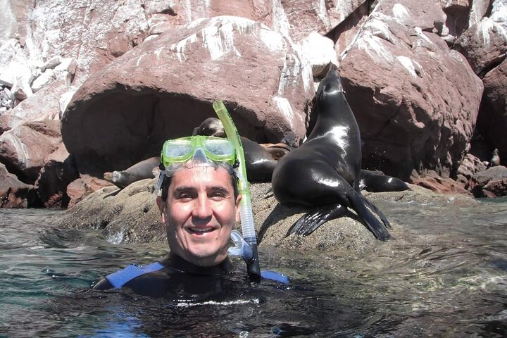 City Tour Cabo San Lucas and San Jose del Cabo  - Image 3