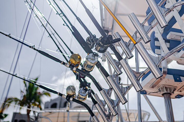 Deep Sea, Tuna and Marlin Fishing, Sports Fishing Cabo San Lucas - Image 4