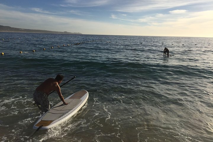 Early Morning Médano Beach Paddle Boarding Tour - Image 3