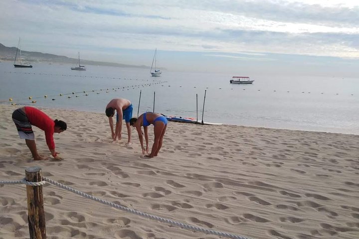 Early Morning Médano Beach Paddle Boarding Tour - Image 4