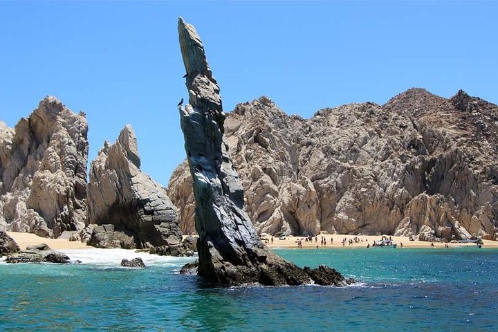 Enjoy Cabo San Lucas city tour and amazing sea adventure to Lands End!  - Image 4