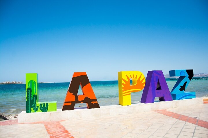 Full-Day La Paz Private Tour from Los Cabos with Cerritos Beach or Todos Santos - Image 4