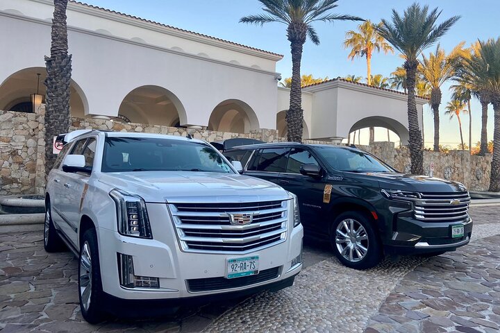 Full-Day La Paz Private Tour from Los Cabos with Cerritos Beach or Todos Santos - Image 3