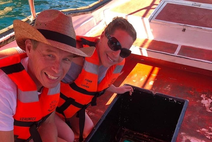 Glass Bottom Boat Tour - Cabo San Lucas - Image 4