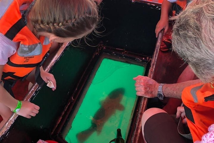 Glass Bottom Boat Tour - Cabo San Lucas - Image 5