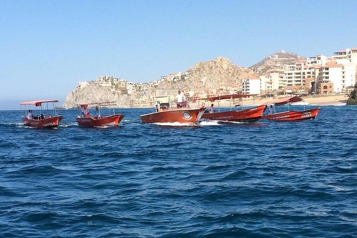 Glass Bottom Boat Tour - Cabo San Lucas - Image 1