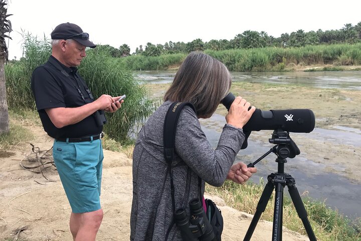 Half-Day Bird Watching Endemics Activity in Los Cabos - Image 1