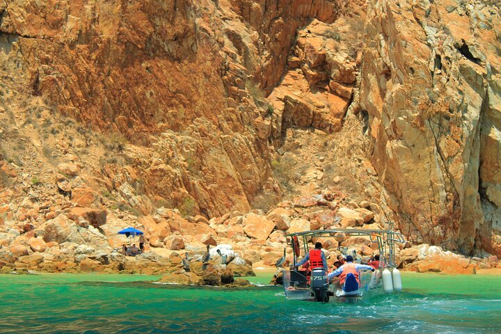 Half-Day Exploring the Arch of Cabo San Lucas Guided Tour - Image 2