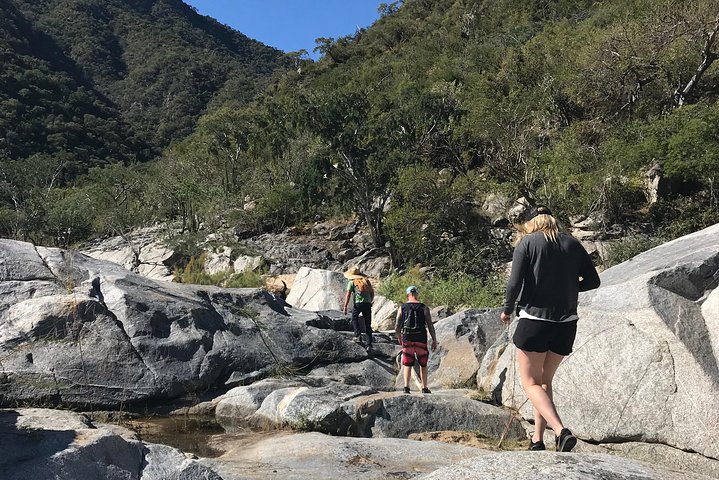 Hike the native Pericu road in Sierra de la Laguna. - Image 1
