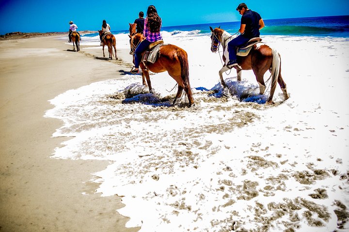 Horseback Riding Migrino Beautiful Beaches!  - Image 3