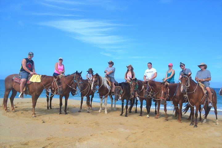 Horseback Riding Migrino Beautiful Beaches!  - Image 2