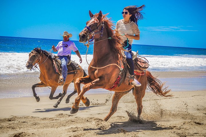 Horseback Riding Migrino Beautiful Beaches!  - Image 5