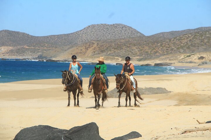 Horseback Riding On The Beach and ATV Combo Adventure at Cabo - Image 4