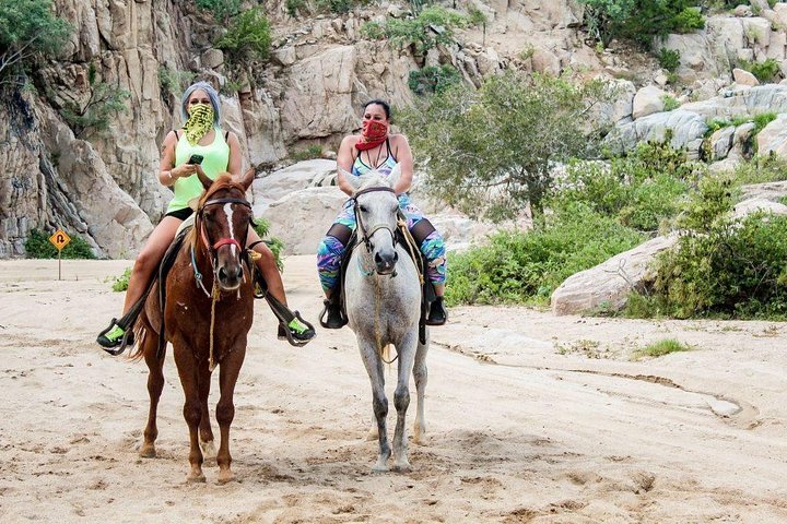 Horseback Riding on The Beach and Through The Desert! - Image 2