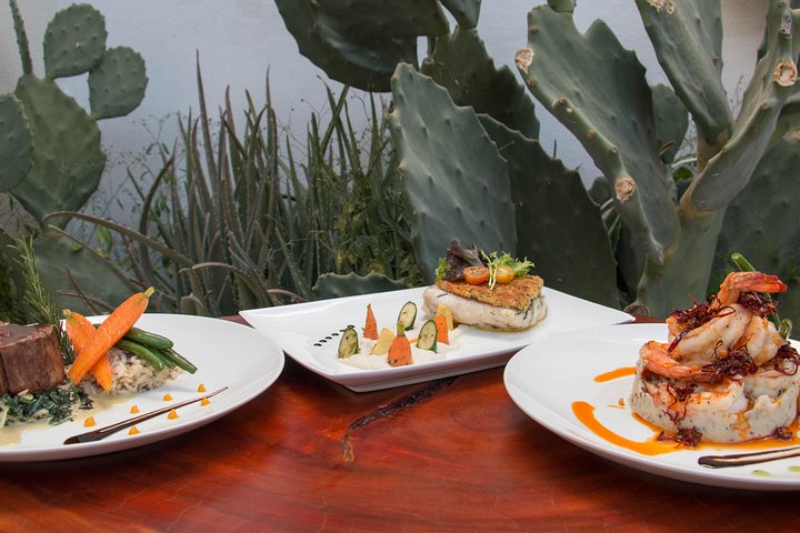 Lobster Tail Dinner with a Private Chef in Los Cabos - Image 3
