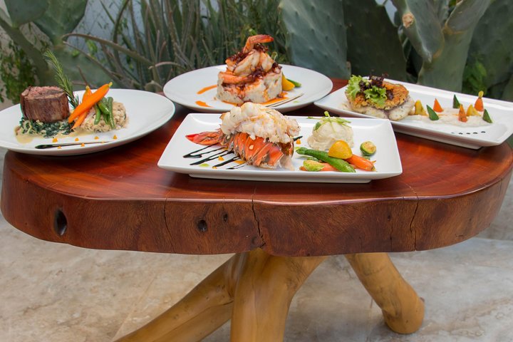 Lobster Tail Dinner with a Private Chef in Los Cabos - Image 5