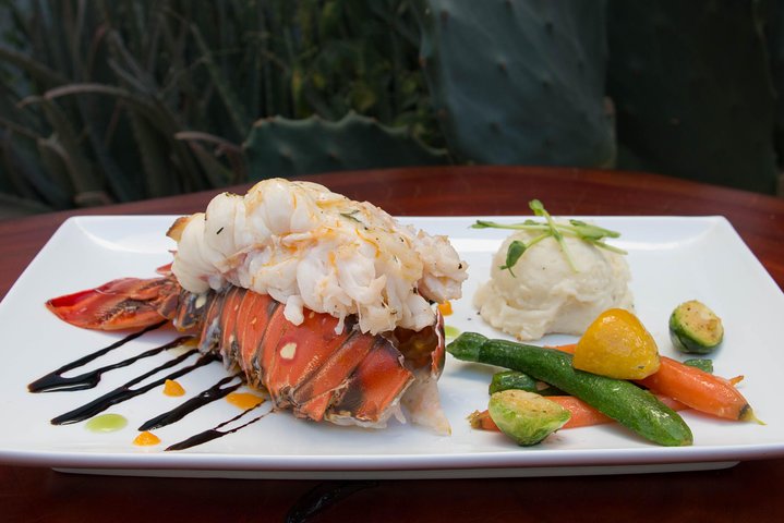 Lobster Tail Dinner with a Private Chef in Los Cabos - Image 4