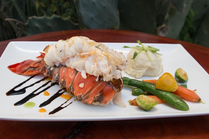 Lobster Tail Dinner with a Private Chef in Los Cabos - Image 1