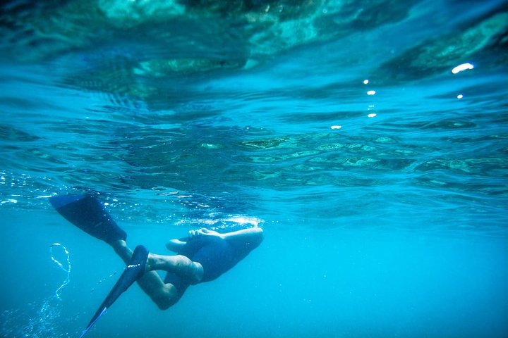 Los Cabos Snorkeling Tour to Chileno Bay and Santa Maria Cove - Image 3