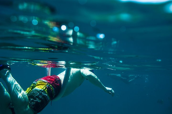 Los Cabos Snorkeling Tour to Chileno Bay and Santa Maria Cove - Image 5