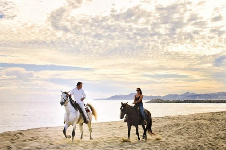 Love is in the air! Private horseback ride on the beach and sunset dinner! - Image 3