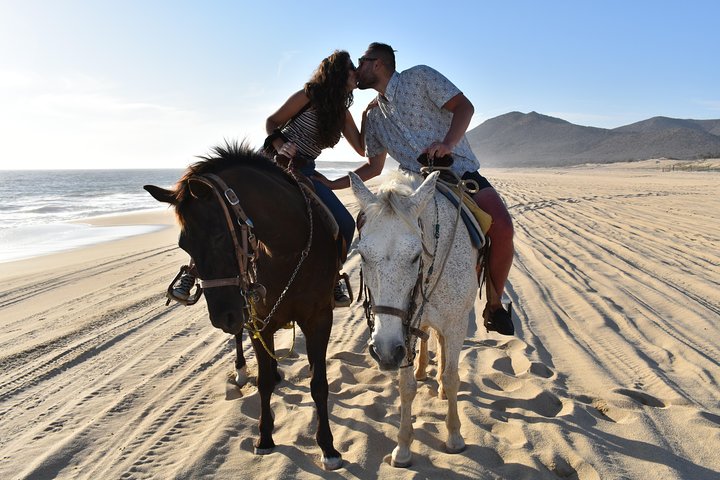 Love is in the air! Private horseback ride on the beach and sunset dinner! - Image 4